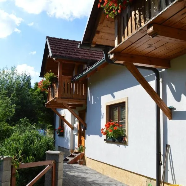Pension Druhý domov，位于Drnovec的酒店
