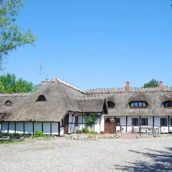 Den gamle Digegaard，位于丹讷马勒的酒店
