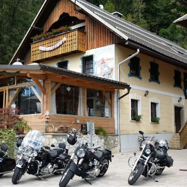 Slovenian Traditional Guest House，位于特尔日奇的酒店