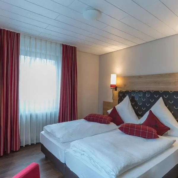 黑尔茨酒店，位于莱茵河畔凯尔的酒店