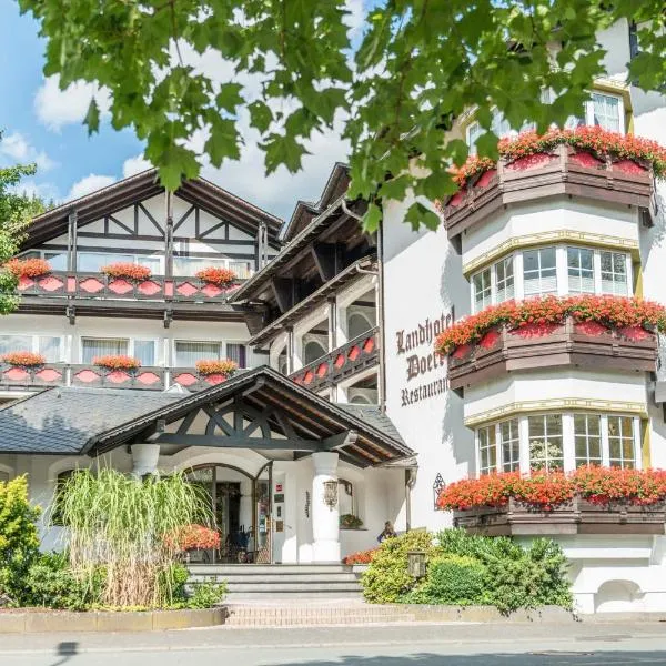Romantik Landhotel Doerr，位于Puderbach的酒店