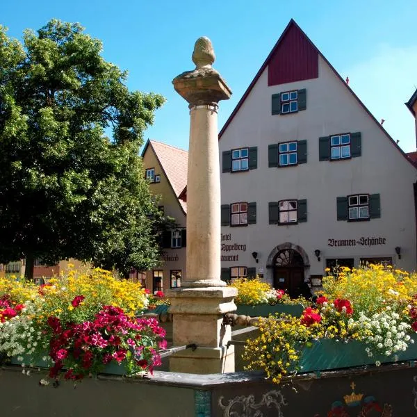 豪斯阿普尔伯格酒店，位于Weiltingen的酒店