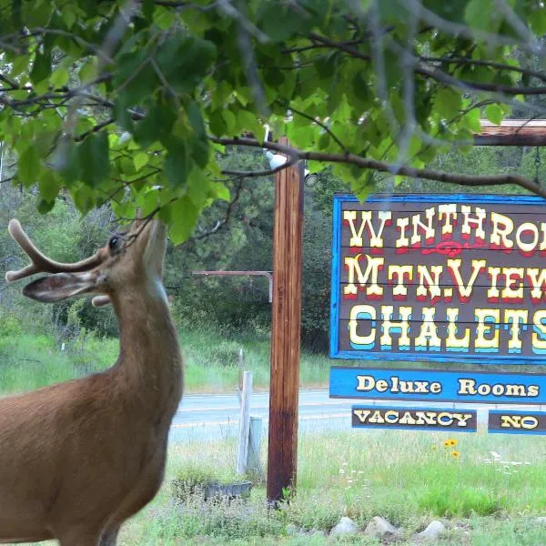 Winthrop Mountain View Chalets，位于Mazama的酒店
