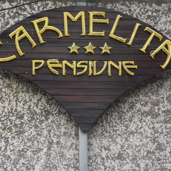 Villa Carmelita，位于克拉约瓦的酒店