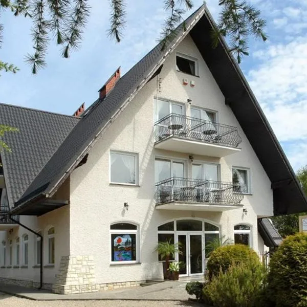 帕杰娜特米玛旅馆，位于Wierzchucino的酒店