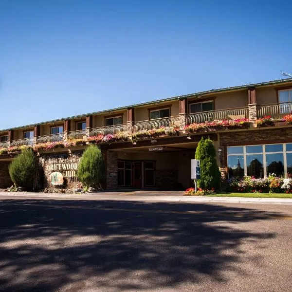 最佳西方流木酒店，位于爱达荷福尔斯的酒店