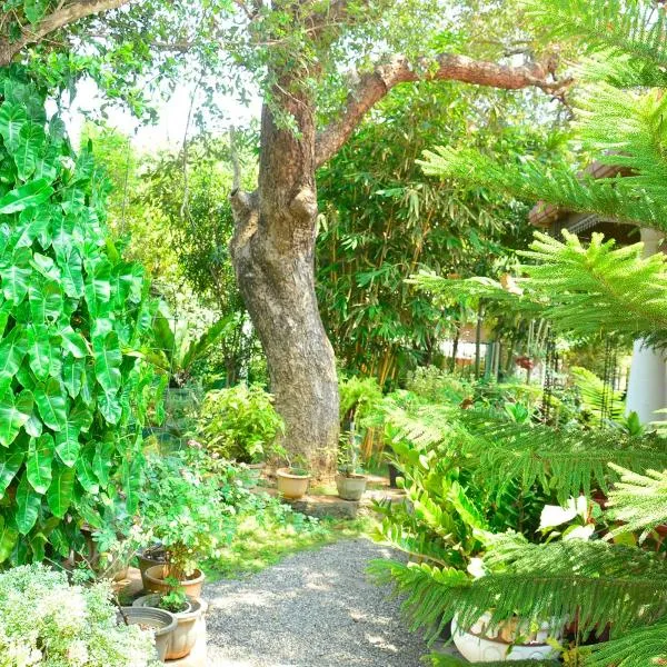 Livinginn Polonnaruwa，位于波隆纳鲁沃的酒店