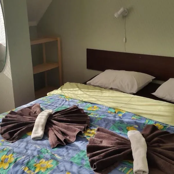 特尔斐旅舍，位于派尔努的酒店