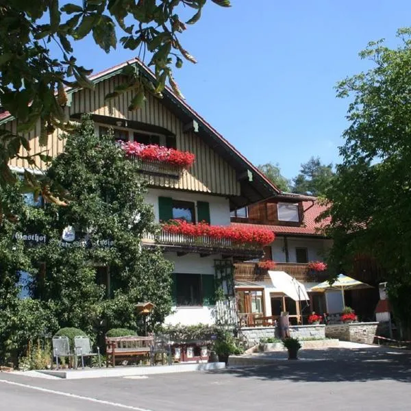 Steiner Wirt，位于提芬巴赫的酒店