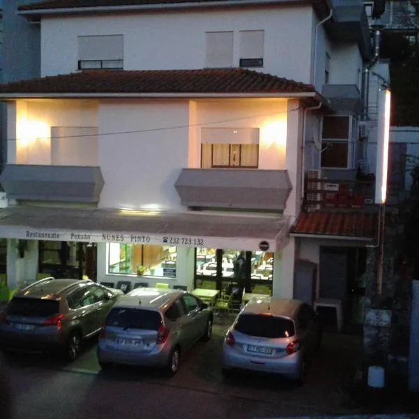 努涅斯·平托旅馆，位于Coelheira的酒店