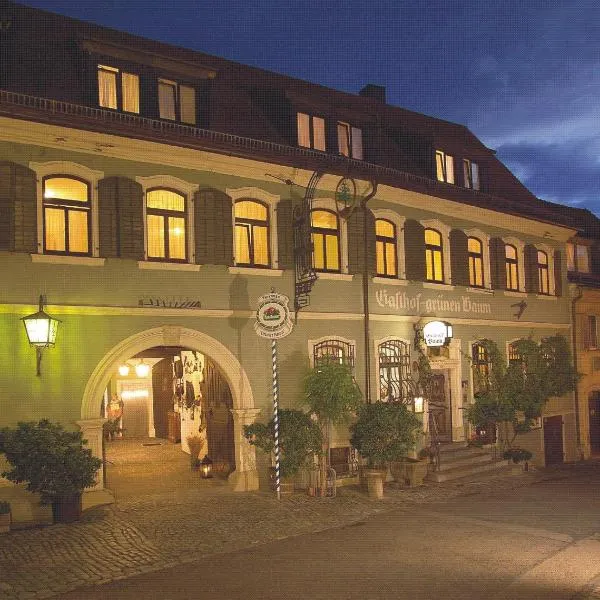 格吕内鲍姆酒店，位于代特尔巴赫的酒店