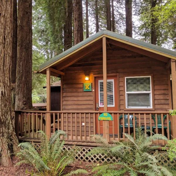 翡翠森林山林小屋,位于特立尼达的酒店