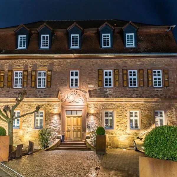 Hotel Saline 3-Sterne Superior，位于Ronneburg的酒店