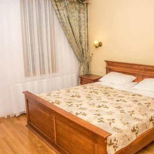 Pensiunea Maria，位于Tomeşti的酒店
