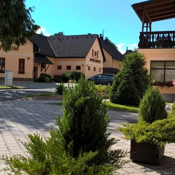 施朗斯酒店，位于Stará Ves的酒店