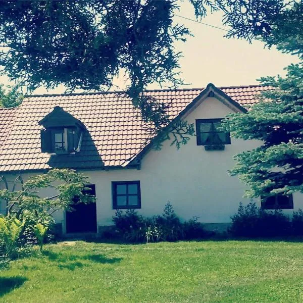 Casa Porumbacu 295，位于波卢巴库苏斯的酒店