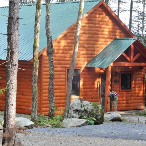 Robert Frost Mountain Cabins，位于Lake Dunmore的酒店