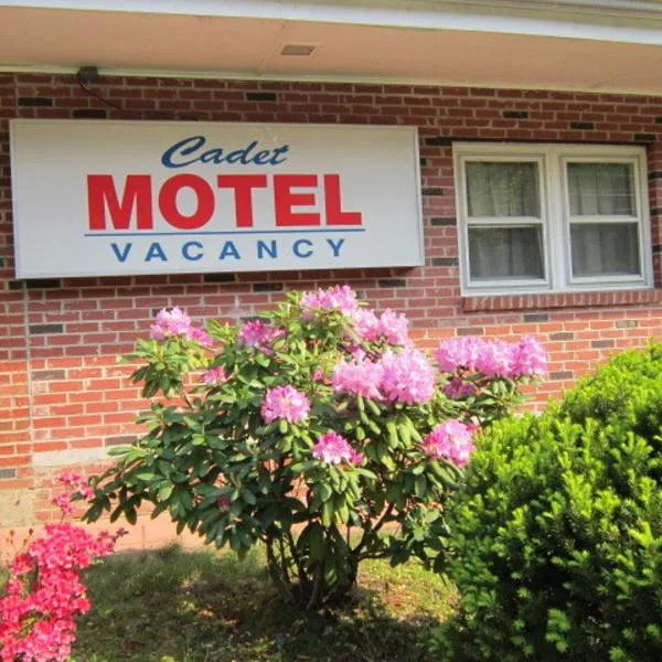 卡德特汽车旅馆，位于康沃尔哈德逊的酒店
