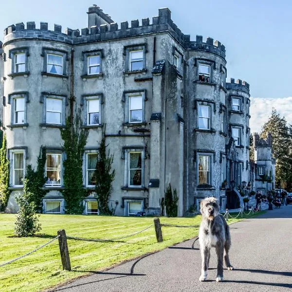 伯里赛利的城堡酒店，位于Knockeen Cross Roads的酒店