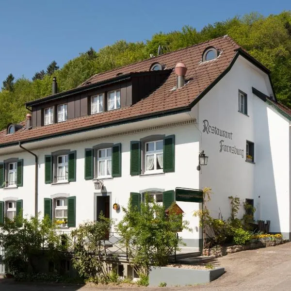 法恩斯堡宾馆，位于Möhlin的酒店