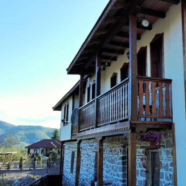 Semana Guesthouse，位于Borovo的酒店