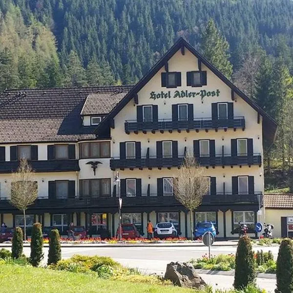 Garni Hotel Adler Post，位于拜尔斯布龙的酒店