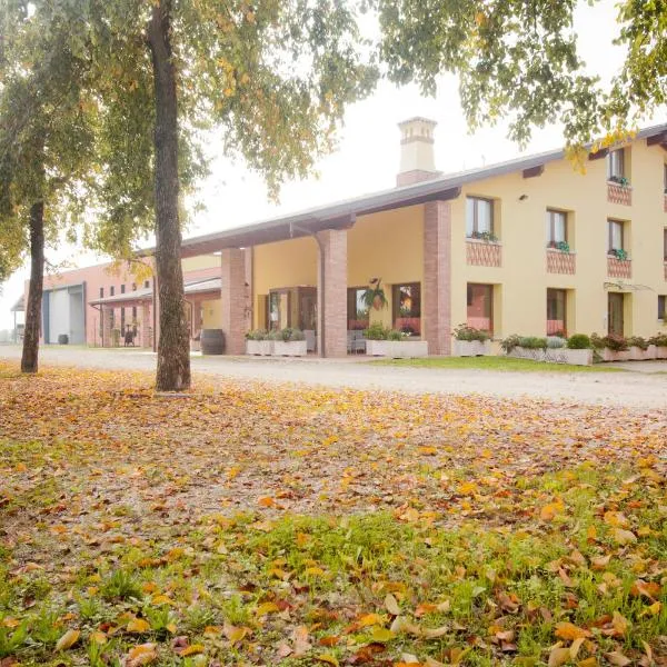 Agriturismo Pituello，位于泰奥尔的酒店