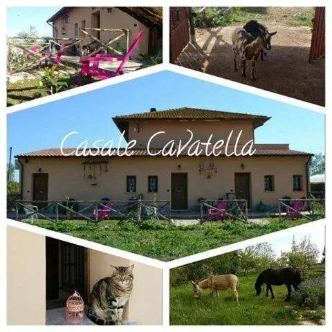 Casale Cavatella，位于Bassiano的酒店
