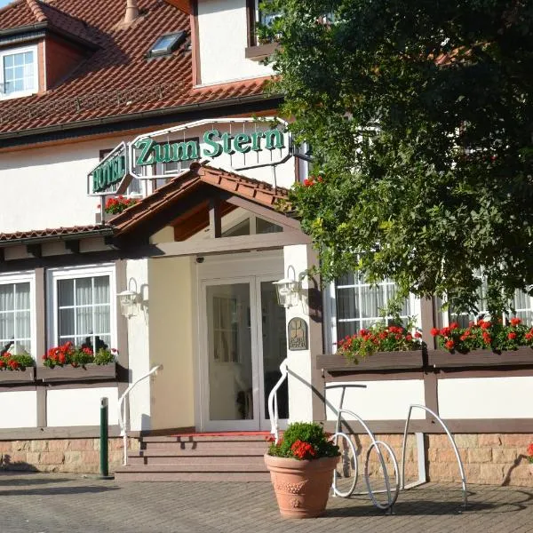 Parkhotel zum Stern，位于Oberaula的酒店