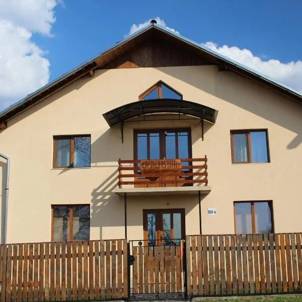 Casa Linistita，位于Chişcău的酒店