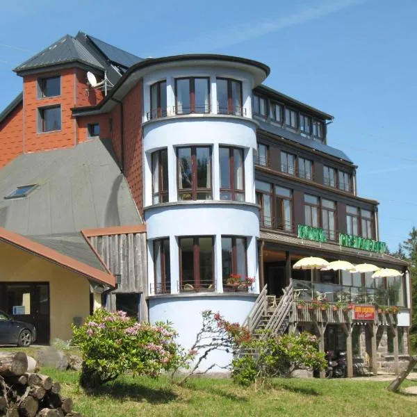 Les Terrasses du Lac Blanc - Studios & Appartements，位于Ban-sur-Meurthe-Clefcy的酒店