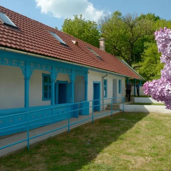 Kékfestő Vendégház，位于比克克森特凯赖斯特的酒店