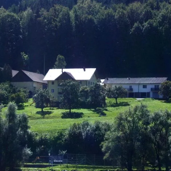 Ferienwohnung Huber，位于Oberkappel的酒店