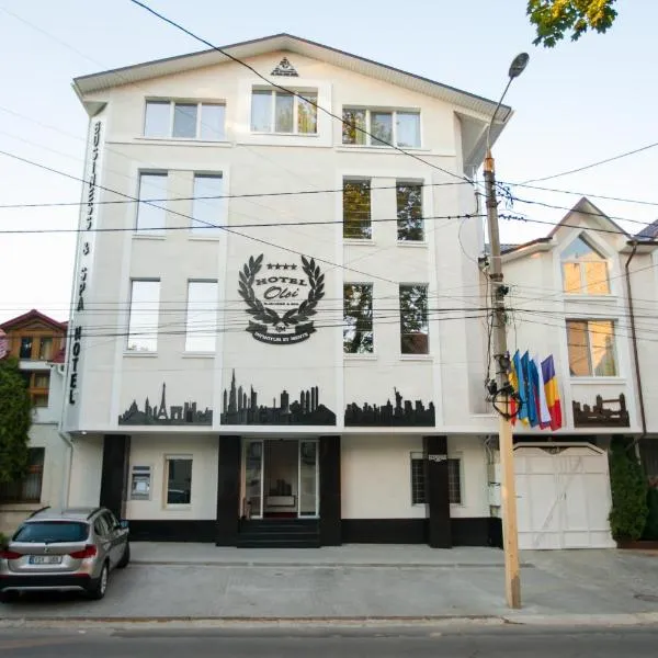 Hotel Olsi，位于基希讷乌的酒店