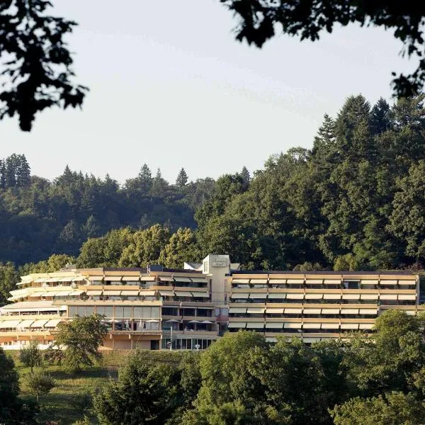 弗莱堡美居全景酒店，位于Wittnau的酒店