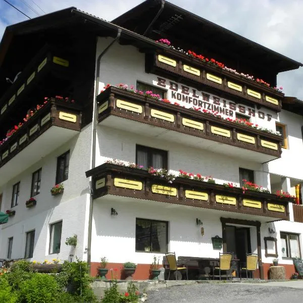 艾德维斯霍夫酒店，位于Sankt Lorenzen im Lesachtal的酒店