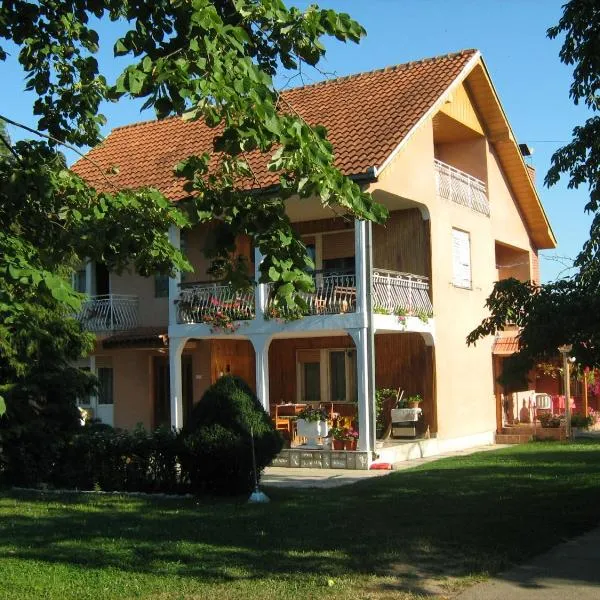 Apartments Domaćinstvo Nikolić，位于Lelić的酒店