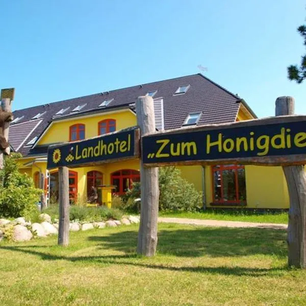 Landhotel zum Honigdieb，位于Blankenhagen的酒店