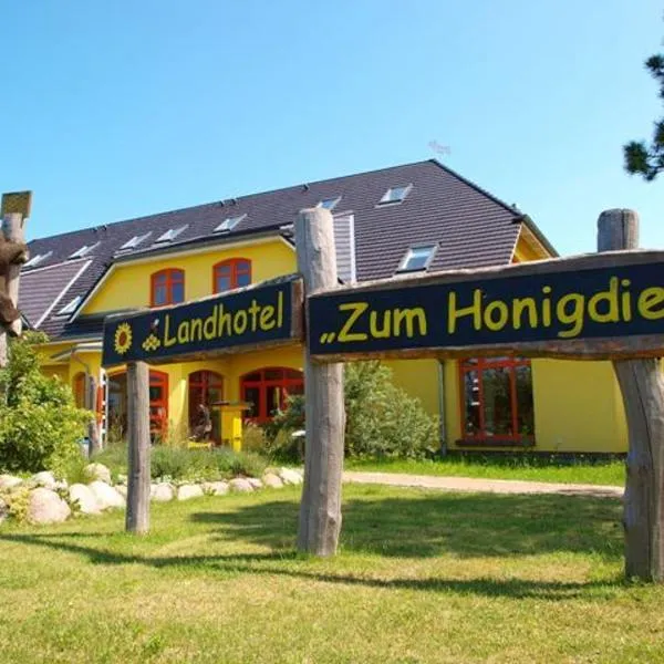 Landhotel zum Honigdieb，位于Müritz的酒店