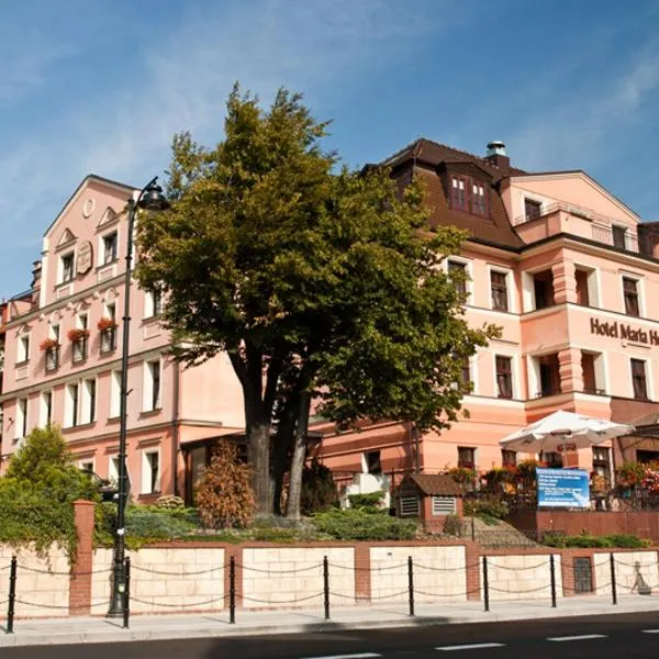 玛丽亚海伦娜酒店，位于Unisław Śląski的酒店