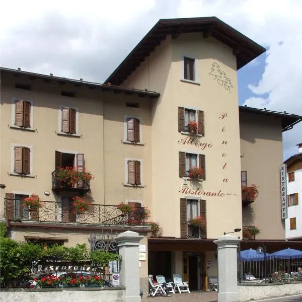 皮奈特旅馆，位于Vilmaggiore的酒店