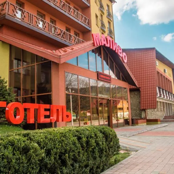 Malyvo Hotel，位于Delyatyn的酒店