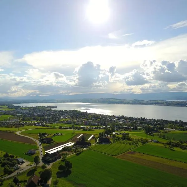 Ferienwohnung Burg Murten，位于穆尔滕的酒店