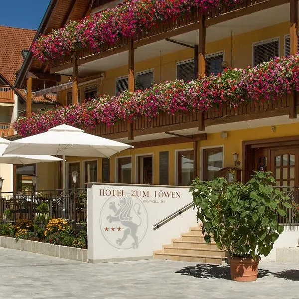 祖尔络温嘎斯霍夫酒店，位于Schönbrunn的酒店