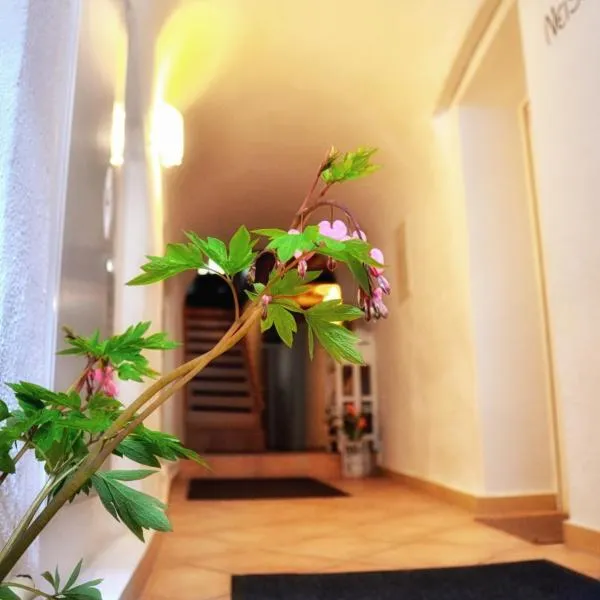 Apartments Altstadthaus Görlitz，位于格尔利茨的酒店