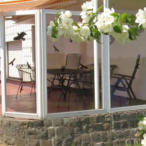 Ferienwohnung Panoramablick，位于施莱登的酒店