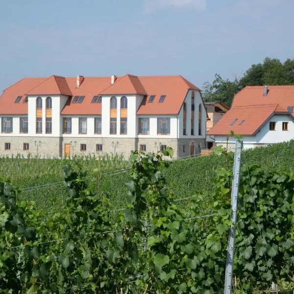 Weingut Taggenbrunn，位于Ottmanach的酒店