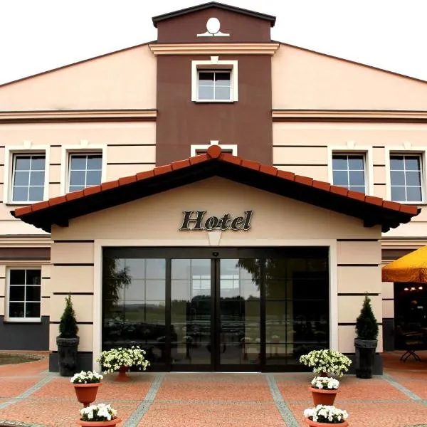 Hotel Stajnia Wolica，位于Brzeziny的酒店