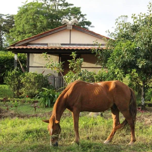 Finca Lindos Ojos，位于El Rodeo的酒店