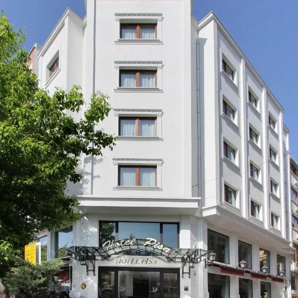 比萨酒店，位于伊斯坦布尔的酒店